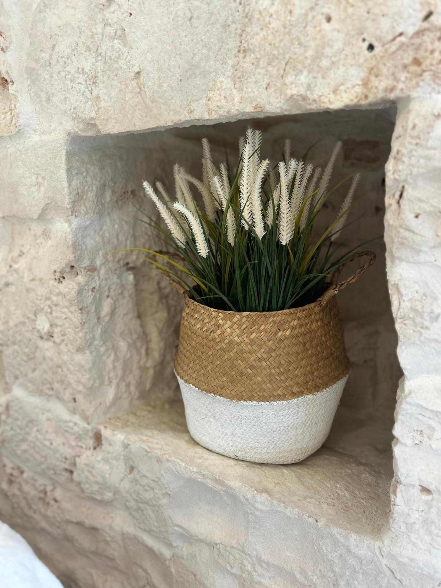 בית הארחה Trulli In Contrada - מונופולי מראה חיצוני תמונה