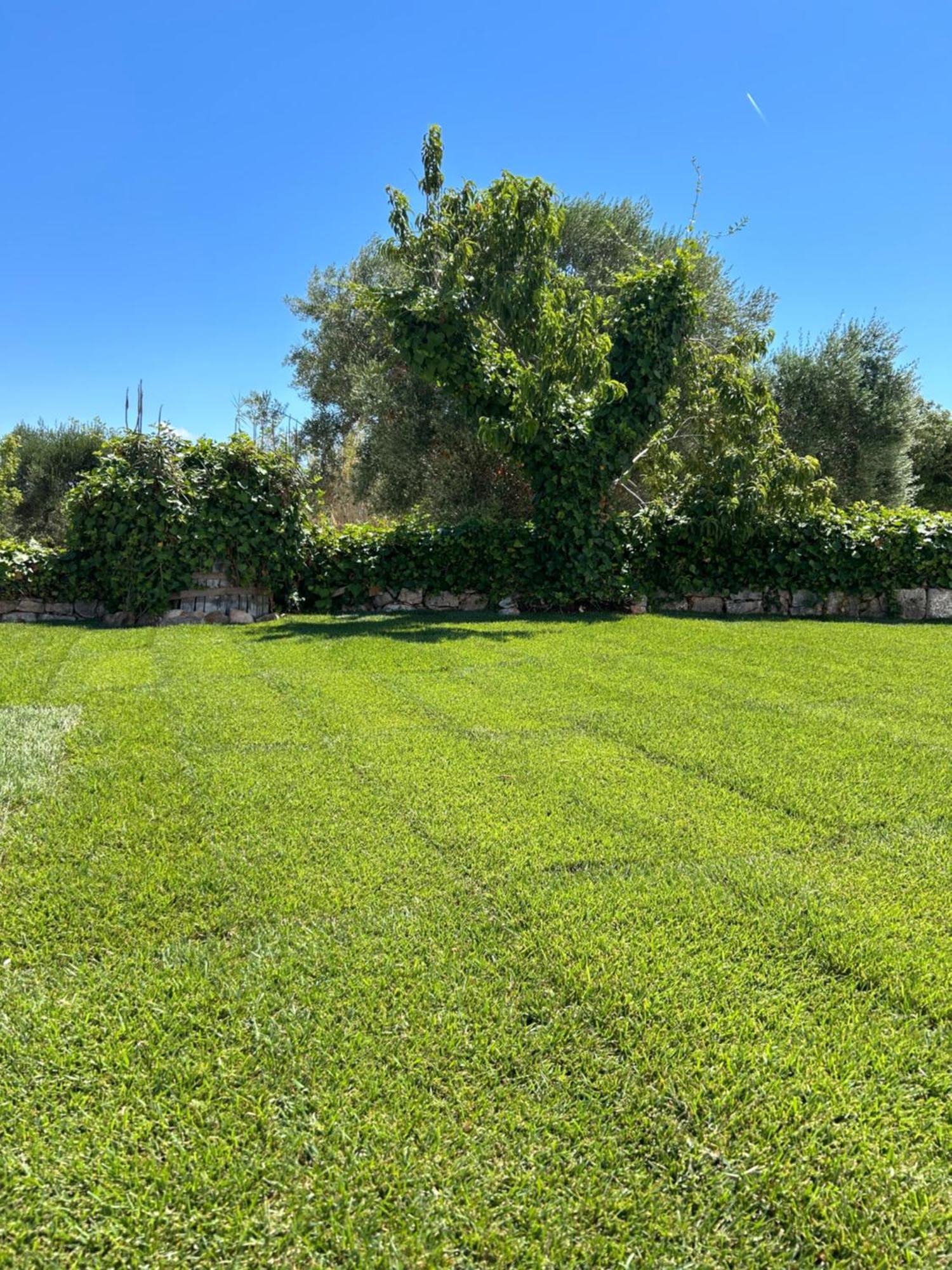 בית הארחה Trulli In Contrada - מונופולי מראה חיצוני תמונה