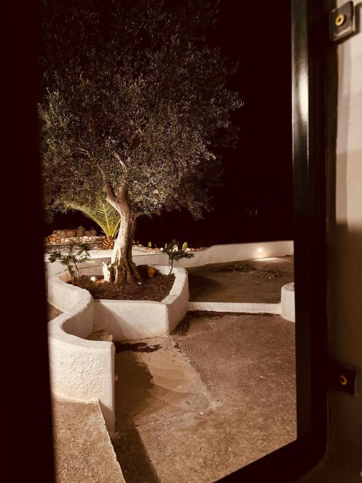 בית הארחה Trulli In Contrada - מונופולי מראה חיצוני תמונה