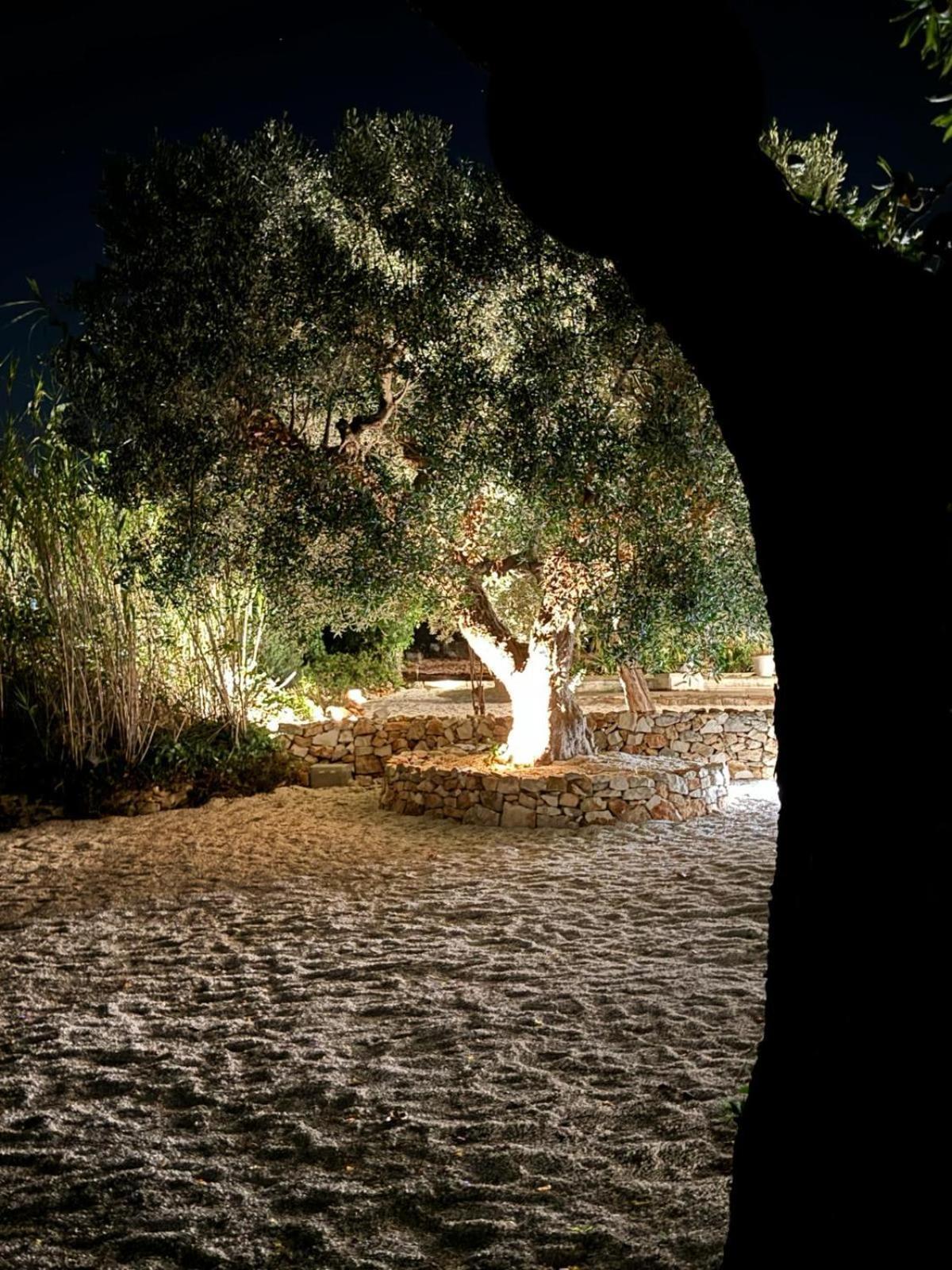 בית הארחה Trulli In Contrada - מונופולי מראה חיצוני תמונה